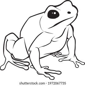 frog line vector illustration isolated on white background.animals top view