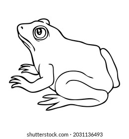 frog line vector illustration,isolated on white background,top view