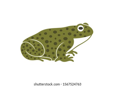 Frog logo. Abstract frog on white background. Bufo Common European Toad