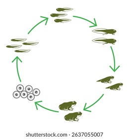 Frog logo icon design template