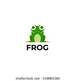Frog Logo and Icon Design Vector for Any Purpose