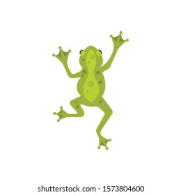 1,110 Tree frog logo Images, Stock Photos & Vectors | Shutterstock