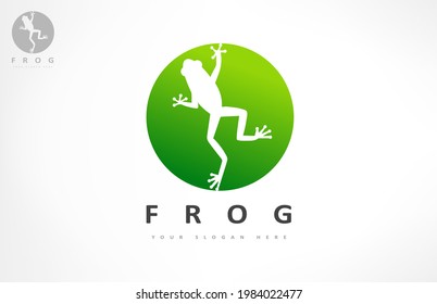 Frog logo vector. Animal design.