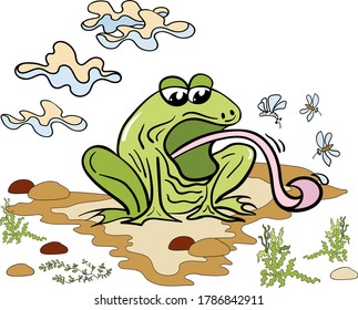 frog with a long tongue in a swamp with midges