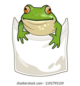 Frog looking out of t-shirt pocket funny humorous vector cartoon illustration. Nature, outdoors, wildlife, amphibian themed design element for clothes isolated on white.