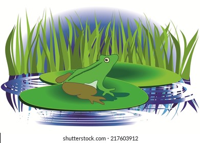 Frog Lotus Leaf,abstract background with green sheet.Little frogs in the pond. Cute little frogs having fun in the pond.