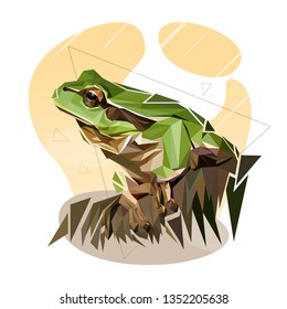 Frog Lowpoly Design