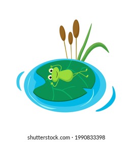 The frog is lying on a water lily. Vector illustration in cartoon style.