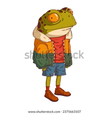 Frog man, isolated vector illustration. A cartoon image of a toad in a warm jacket. A painted sticker with an image of an animal. Anthropomorphic frog on a white background. Animal character.
