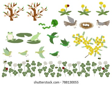 Frog and Mimosa's material collection.