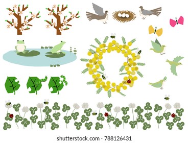 Frog and Mimosa's material collection.Spring material collection.