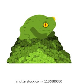 Frog and money. Chinese symbol of wealth. toad and coin. Vector illustration.
