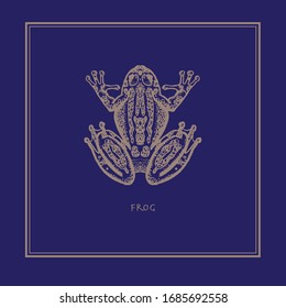 Frog on a blue background in a realistic style. Drawn. Perfect for printing, interior, poster, brand, wall painting, printing on clothing, furniture items. Vector illustration.