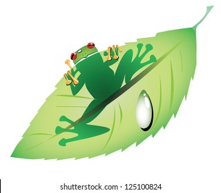 Frog on a green leaf, isolated, EPS 10