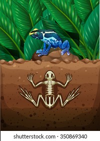 Frog on the ground and fosil underground illustration