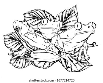  frog on leaf vector illustration design