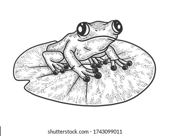 frog on a leaf of a water lily sketch engraving vector illustration. T-shirt apparel print design. Scratch board imitation. Black and white hand drawn image.