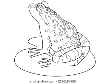 Frog on a leaf of a water lily - a vector linear picture for a coloring book, logo or pictogram. Outline. Toad or frog, small amphibious animal for coloring book