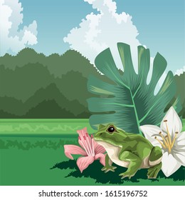 frog on leaves flowers tropical fauna and flora landscape vector illustration