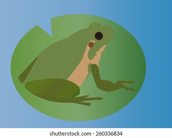 A Frog On A Lilly Pad, Vector Illustration