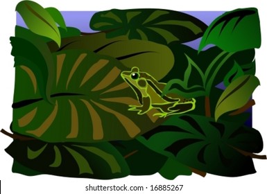 Frog on a lily pad.