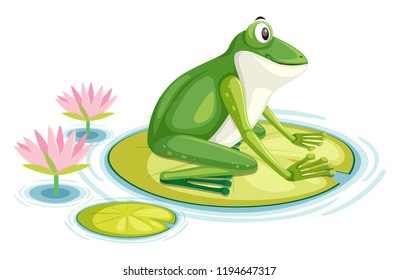 A frog on the lily pad  illustration