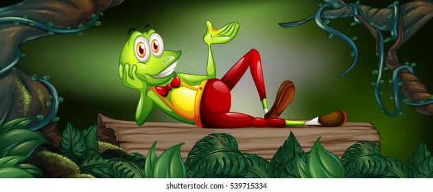 Frog on a log in the forest