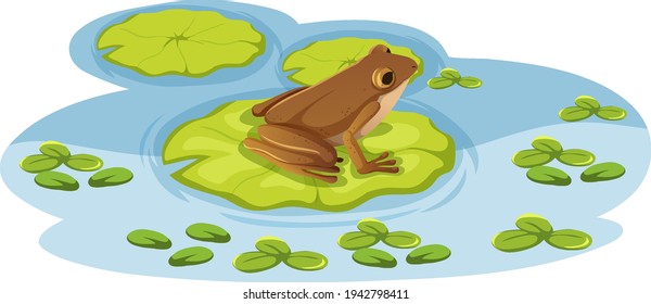 A Frog On Lotus Leaf In The Water Illustration