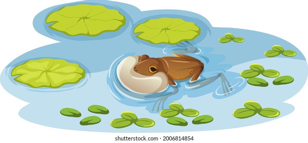Una rana en la hoja de loto en la ilustración del agua