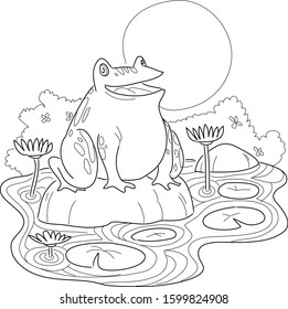 frog on lotus pond, coloring book for fun