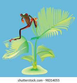 Frog on the palm frond.