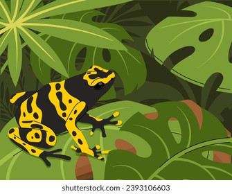 Frog on tropical leaf concept. Exotic animal at foliage in jungles and rainforest. Yellow and black lizzard. Dangerous mammal. Wild life, fauna and flora. Cartoon flat vector illustration