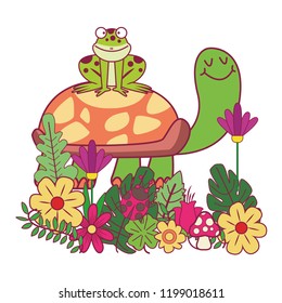 Frog on turtle cartoons