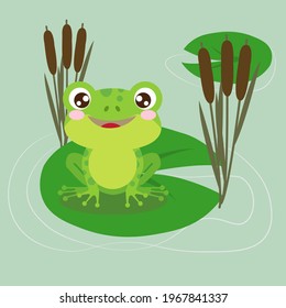 Frog on a water lily leaf in a pond, vector illustration