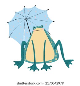 Frog on white  isolated background