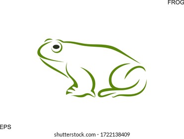 Frog outline. Abstract frog on white background. Bufo Common European Toad