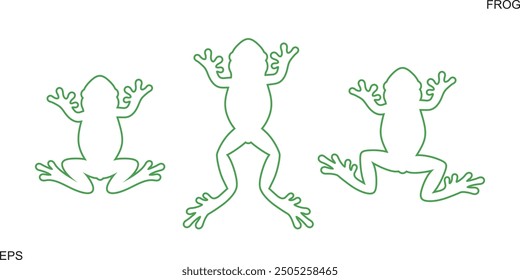 Frog outline. Abstract frog on white background