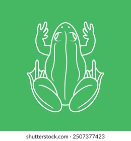 Frog outline. Abstract frog on white background. Bufo Common European Toad