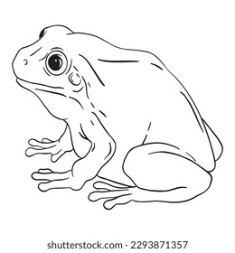 Frog outline art ,good for graphic design resources, posters, banners, templates, prints, coloring books and more.