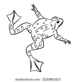 Froschkontur und Cartoon Amphibien Tiersymbol, Vektorgrafik