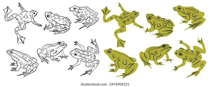 Contorno de rana y dibujos animados anfibios de color animal icono conjunto