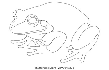 frog outline vector black and white illustration