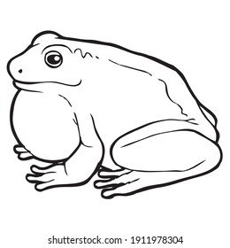 frog outline vector illustration,
isolated on white background.Animals top view