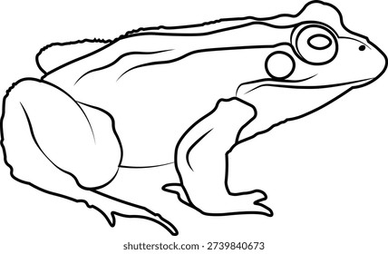 Frog Outline Vector Illustration Isolated on White Background

Clean and simple frog outline vector illustration isolated on white background. Perfect for coloring books, children’s education, wildlife projects, logo design, stickers, tattoo ideas, icons, posters, and print or digital use. Minimal line art style suitable for web, print, and commercial projects.