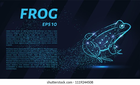Frog of particles. The frog consists of small circles