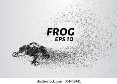 Frog of particles. Frog scattered on the circles and points. Vector illustration