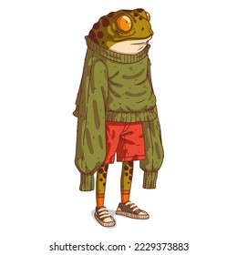 A Frog Person, isolated vector illustration. Cartoon picture of a toad in an oversized long-sleeved sweatshirt. Drawn animal sticker. An anthropomorphic frog on white background. An animal character