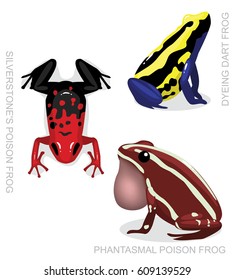 Frog Poison Dart Frog Frog Set Cartoon Vector Illustration 3