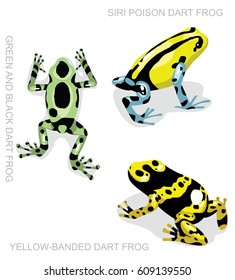 Frog Poison Dart Frog Frog Set Cartoon Vector Illustration 2