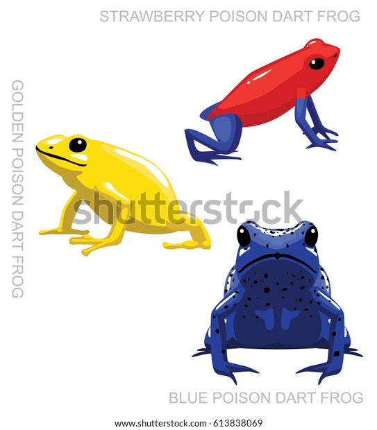 Frog Poison Dart Frog Set Cartoon Stock Vector (royalty Free) 613838069